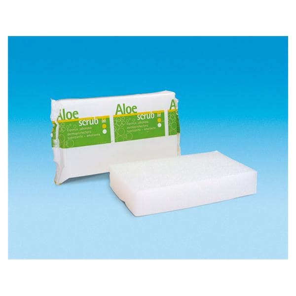ESPONJA JABÓNOSA ALOE SCRUB 1U