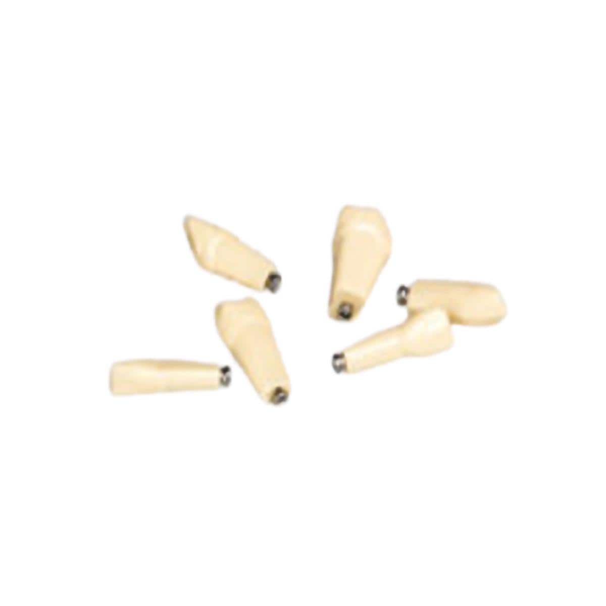 DIENTES ANKA4Z - FRASACO