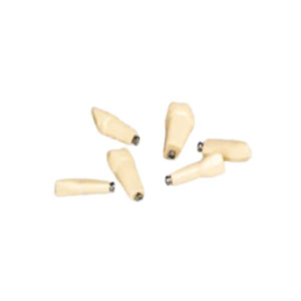 DIENTES ANKA4Z - FRASACO