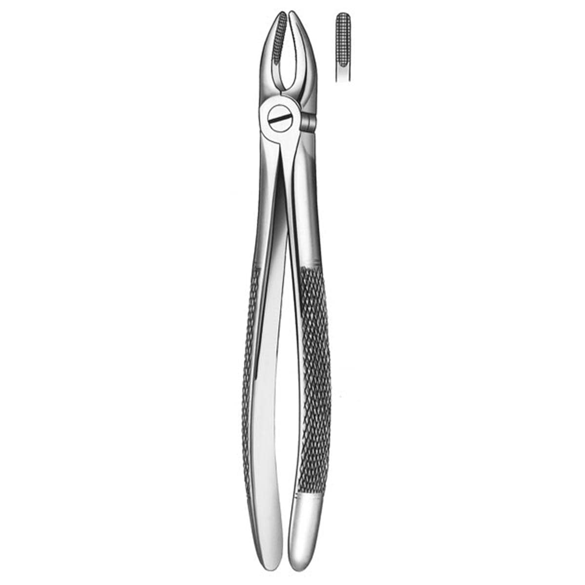 FORCEPS 01 MAXILAR SUP INCISIVOS - KDM