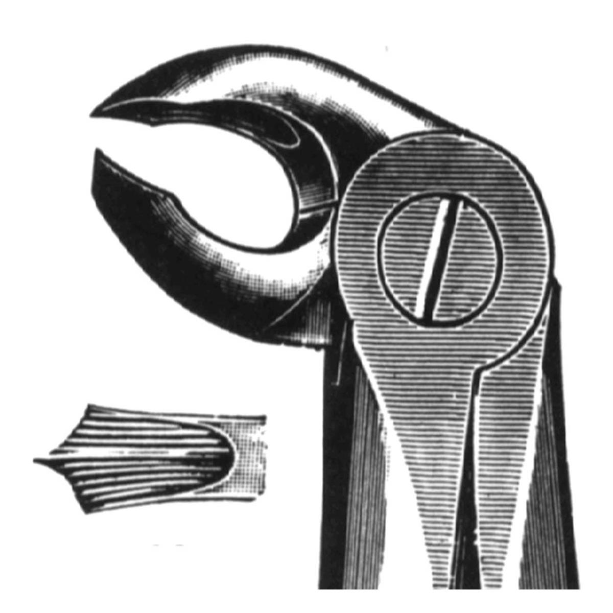 FÓRCEPS MOLAR INFERIOR 22 1U - CARL MARTIN