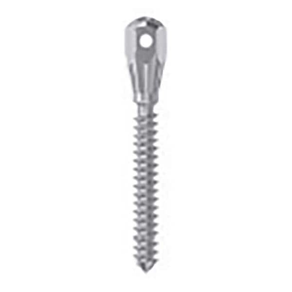 MINI IMPLANTES ORTO AUTO C.ALTA 1.5 08 - LEONE