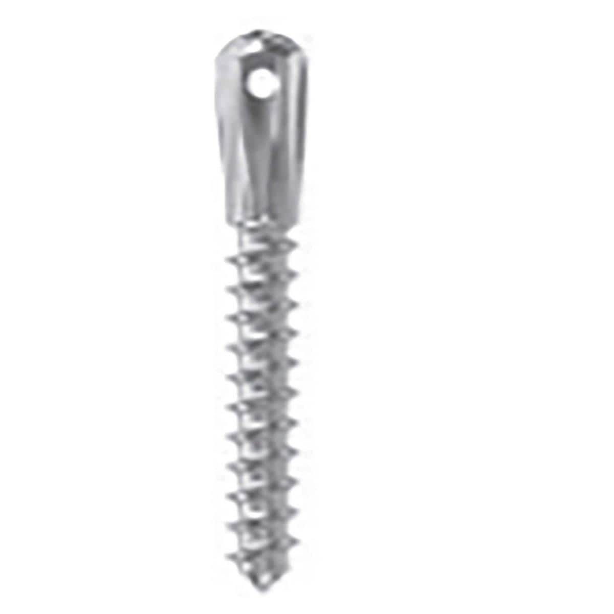 MINI IMPLANTES ORTO AUTO C.ALTA 2 10 - LEONE