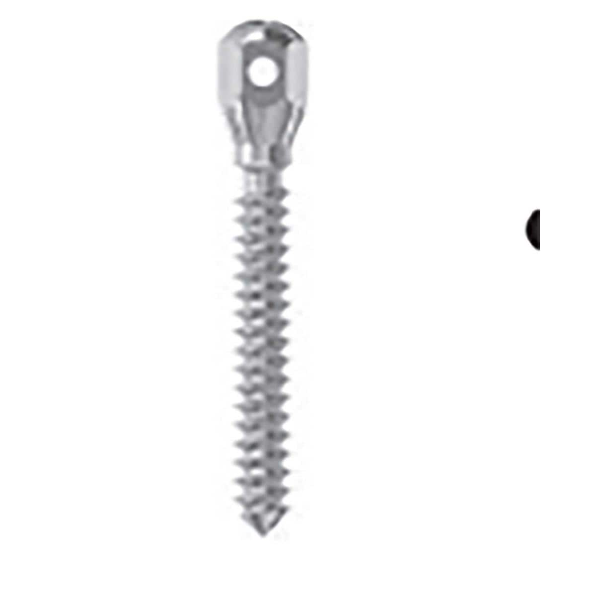 MINI IMPLANTES ORTO AUTO C.BAJA 1.5 12 - LEONE