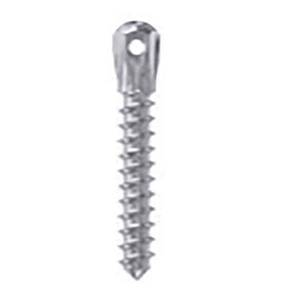 MINI IMPLANTES ORTO AUTO C.BAJA 2 08 - LEONE