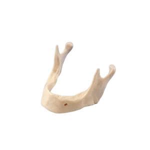 MODELO MANDÍBULA ARTIFICIAL PARA IMPLANTES 1U - KRUGG