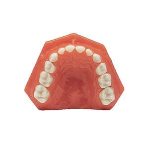 MODELO OK Y UK ODONTOPEDIATRIA - KAVO