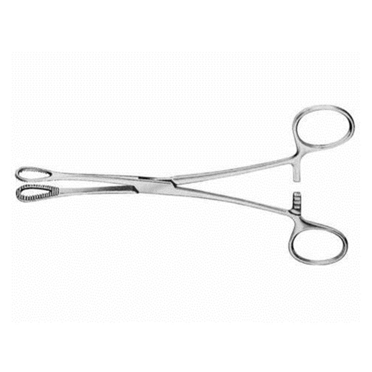 PINZA P/ESPONJAS RECTA BERGMANN-FOERSTER 25CM TEKN
