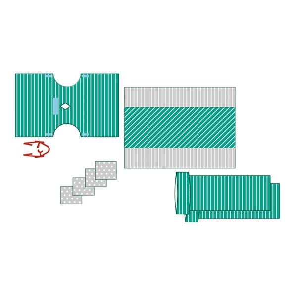 SET QUIRURGICO GINECOLOGIA CITOSC 1U BASTOS VIEGAS